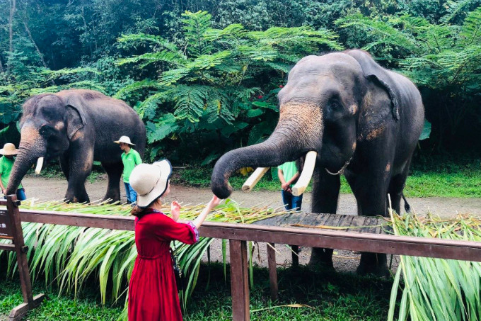 {Online Casino}(红蚁旅游合法吗)