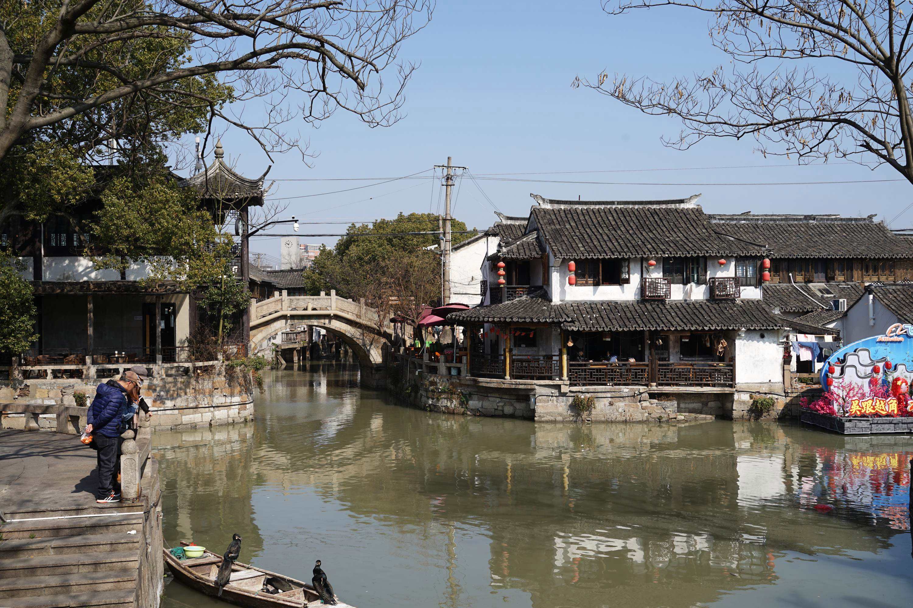 {捕魚機}(枫泾古镇房价)